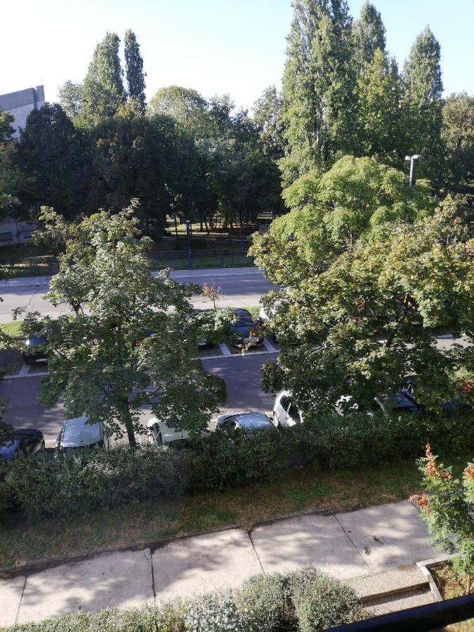Apartman Vanja Belgrade Exterior photo